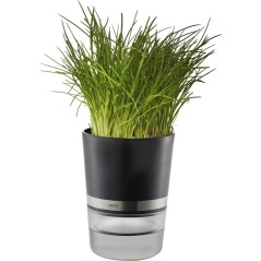 GEFU BOTANICO Smart Plant Pot - Stylish Black Transparent Design for Modern Living Spaces | SKU: 4006664189200